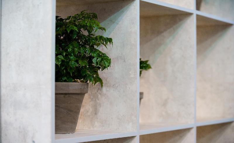 Decor Concrete Light 818