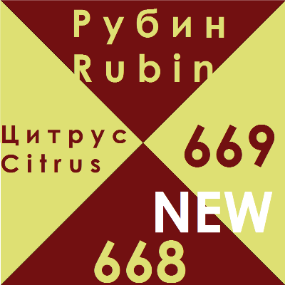 Н О В И Н К И фоновых декоров BYSPAN 2017