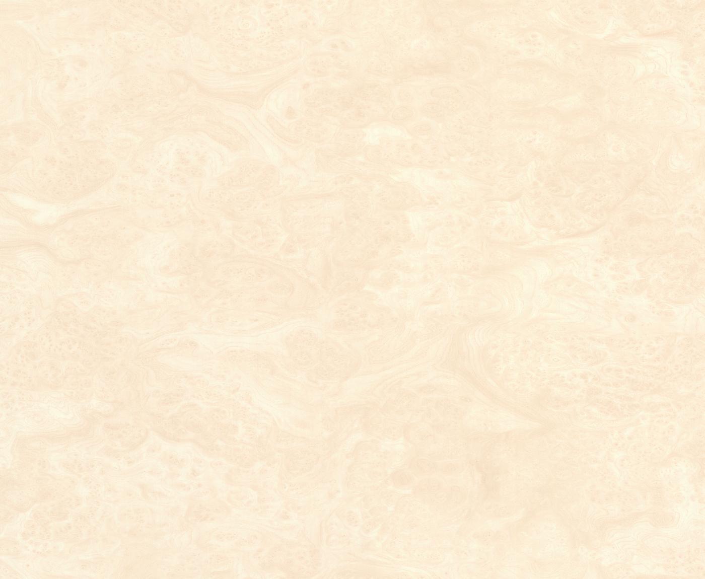 Корень Вяза 113